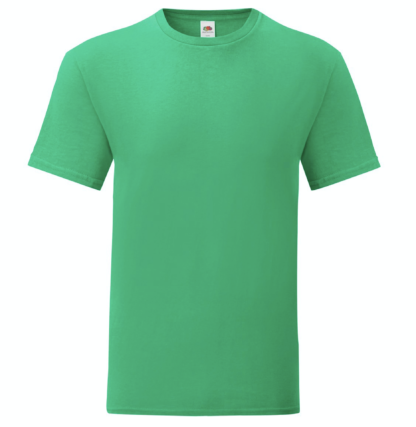 t-shirt maglietta fruit of the loom iconic personalizzata ingrosso rivenditori fornitori alterego custom shop verde