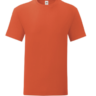 t-shirt maglietta fruit of the loom iconic personalizzata ingrosso rivenditori fornitori alterego custom shop arancione flame