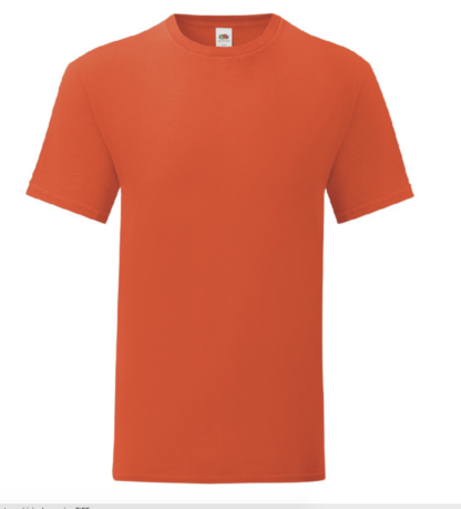 t-shirt maglietta fruit of the loom iconic personalizzata ingrosso rivenditori fornitori alterego custom shop arancione flame